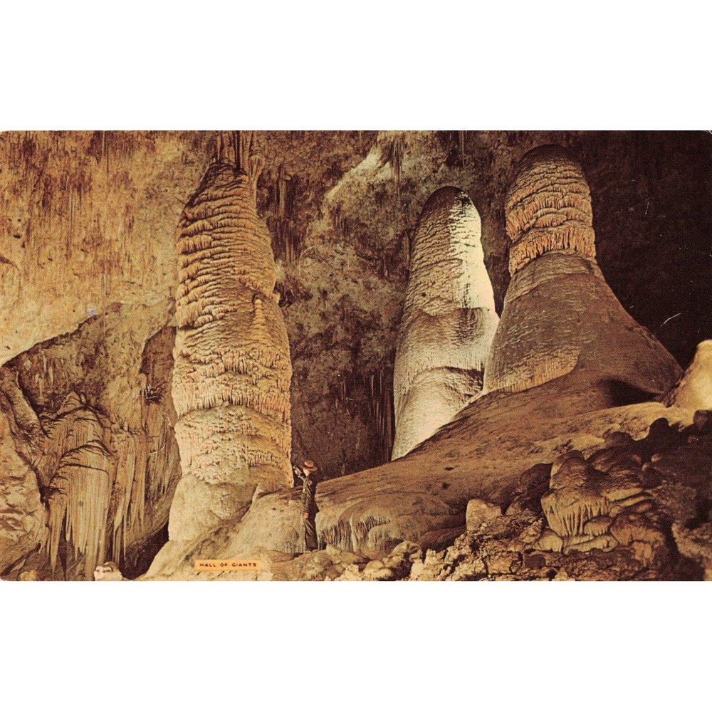 Vintage Carlsbad Caverns Postcard Giant and Twin Domes Hall of Giants NM - Picture 1 of 2